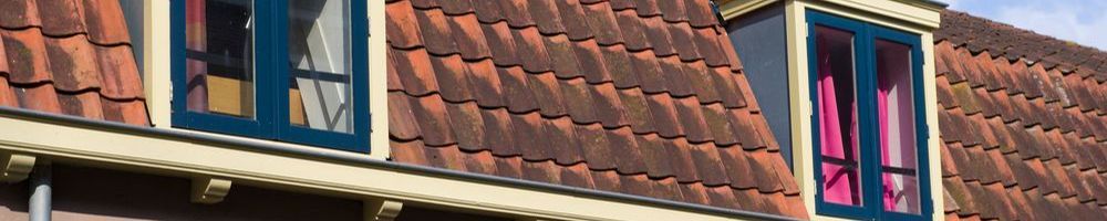 Dakrenovatie Berkel-Enschot